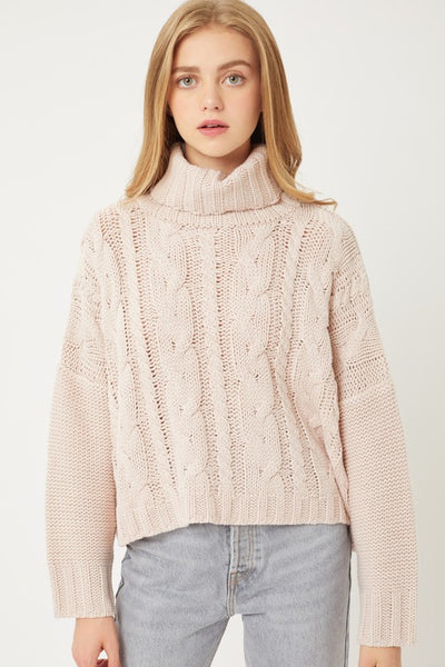 Turtle Neck Cable Knit Sweater